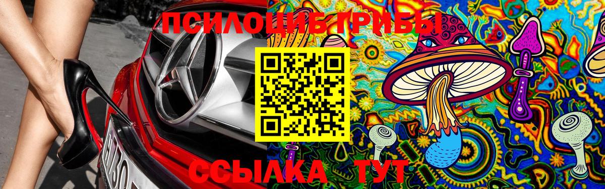 Галлюциногенные грибы Psilocybine cubensis  Вход с VPN  Псилоцибиновые грибы Cubensis  Донской 
