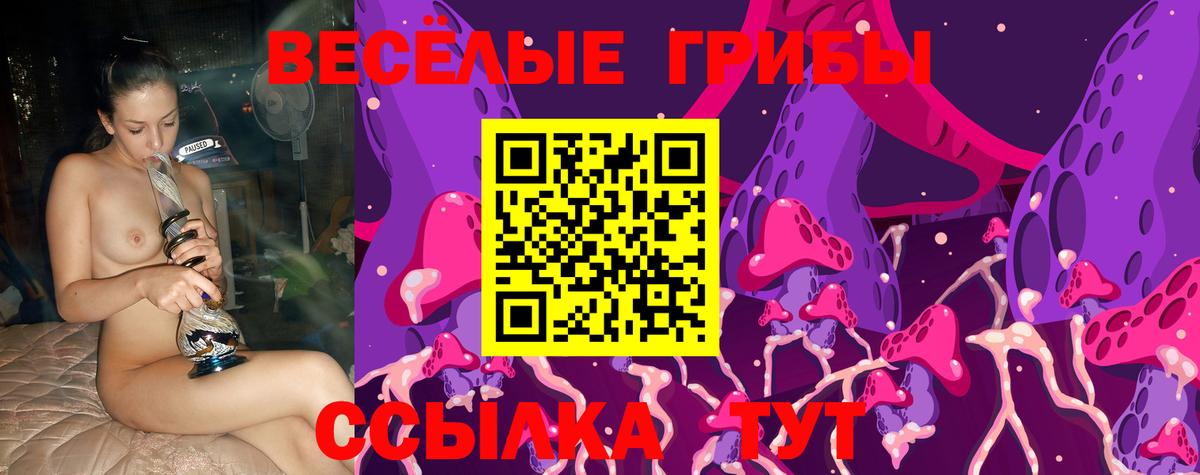 Галлюциногенные грибы ЛСД Донской
